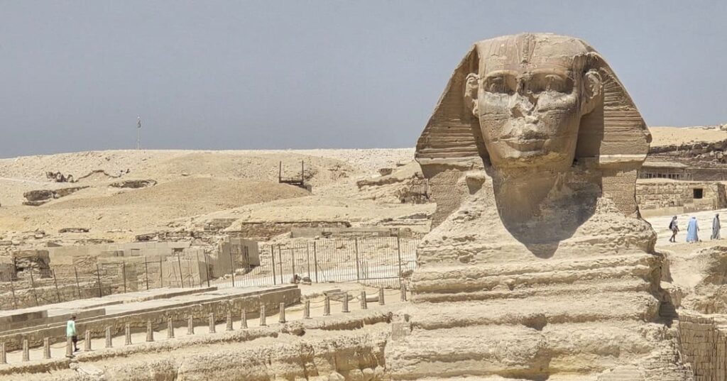 Egipto cambia camellos por buses eléctricos en las Pirámides de Guiza 1 Egipto reemplaza paseos en camello en las Pirámides de Guiza