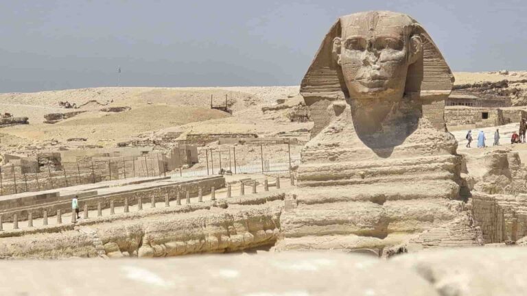 Egipto reemplaza paseos en camello en las Pirámides de Guiza