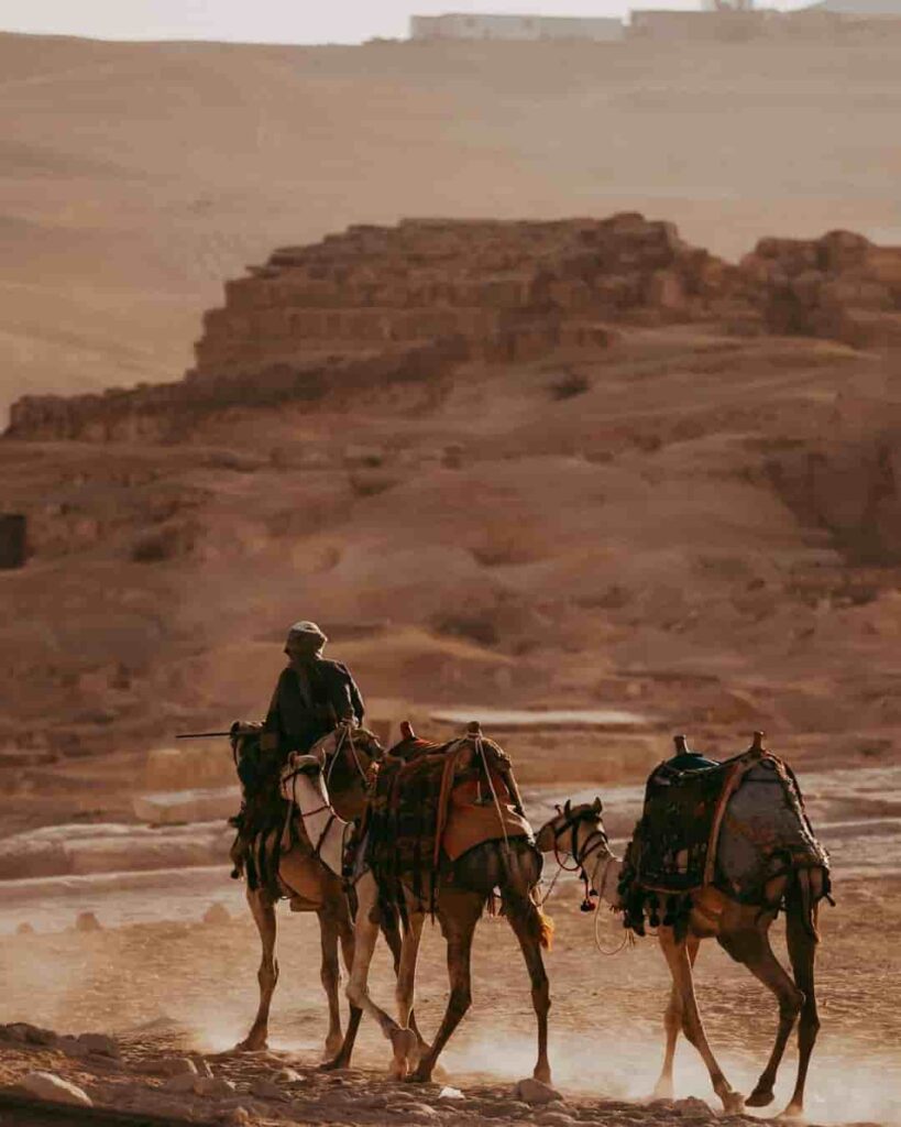 Egipto cambia camellos por buses eléctricos en las Pirámides de Guiza 3 Egipto reemplaza paseos en camello en las Pirámides de Guiza