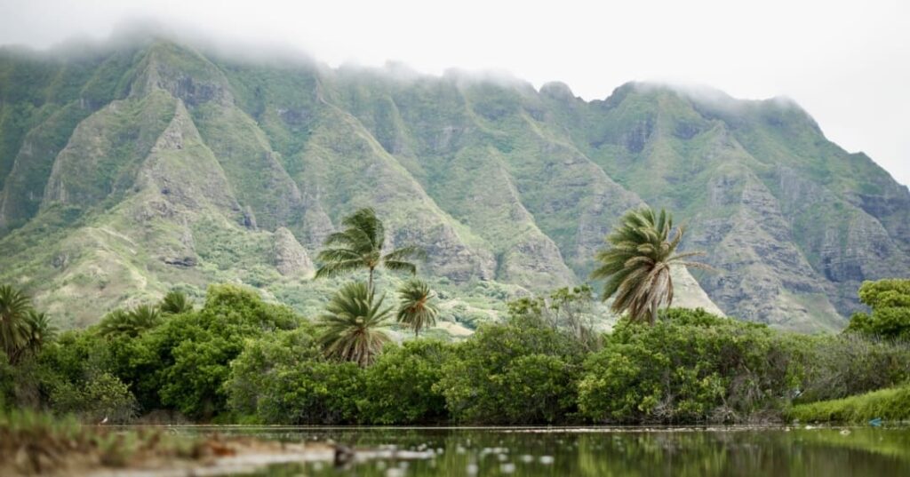 Hawaii hace carreteras con plástico del océano y redes de pesca 1 Hawaii reutiliza plástico oceánico y redes de pesca