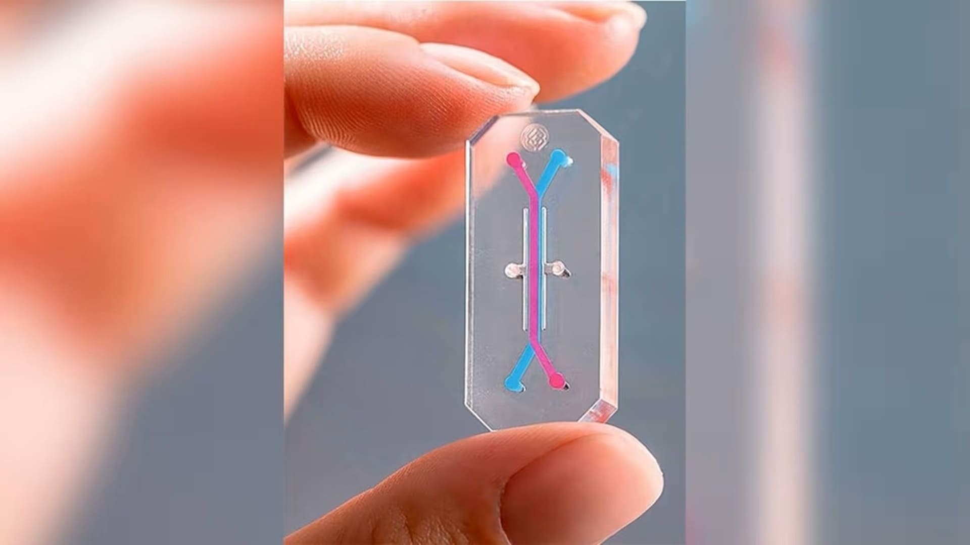 microchip para detectar células tumorales circulantes