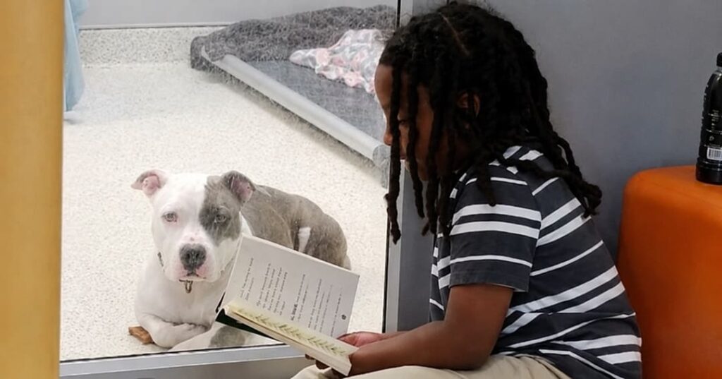 Niño voluntario lee cuentos a perros y gatos