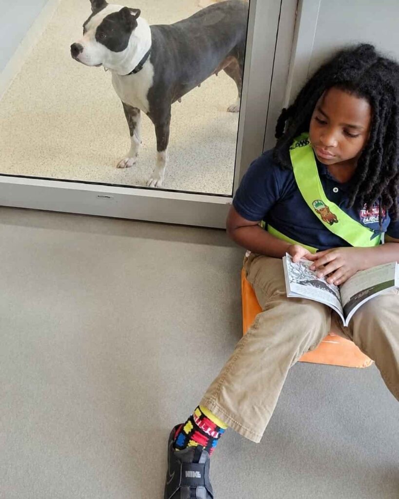 Niño voluntario lee cuentos a perros y gatos