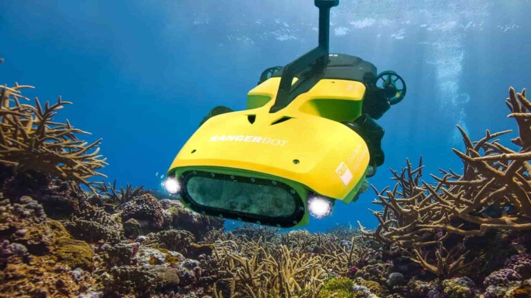 robots y viveros flotantes restauran corales bebé