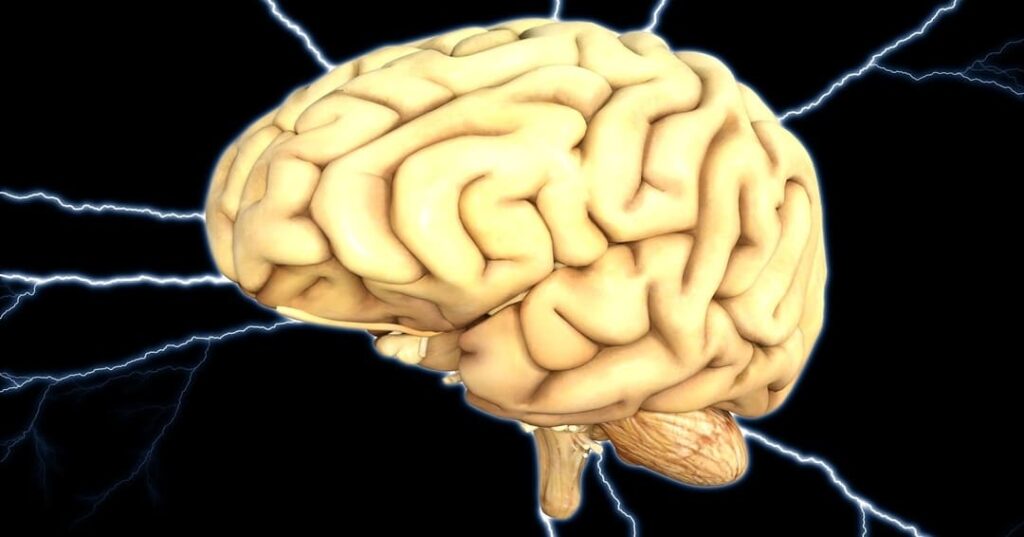 El chip que mapea el cerebro en menos de medio segundo 6 Chip neuromórfico para mapeo cerebral en tiempo real