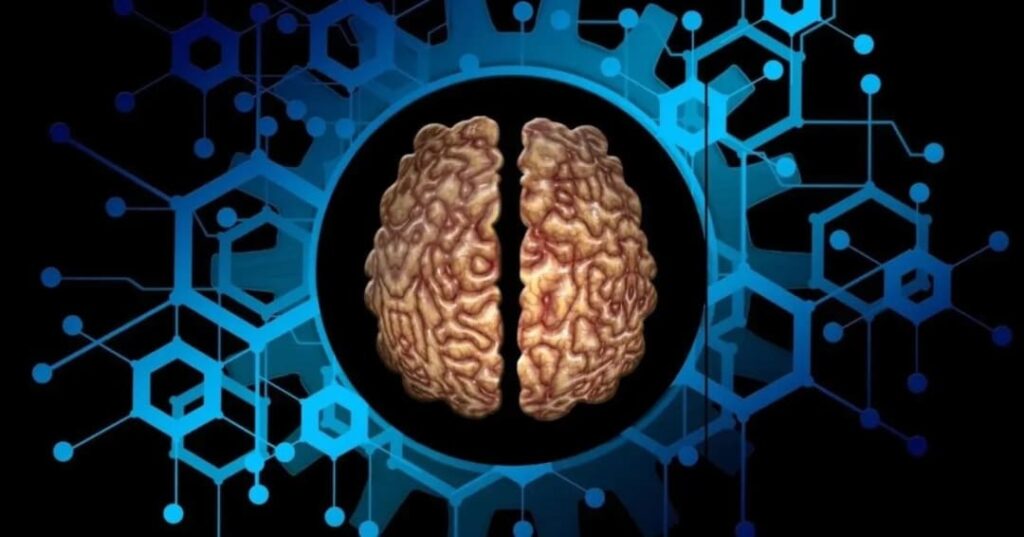 El chip que mapea el cerebro en menos de medio segundo 3 Chip neuromórfico para mapeo cerebral en tiempo real