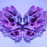 El chip que mapea el cerebro en menos de medio segundo