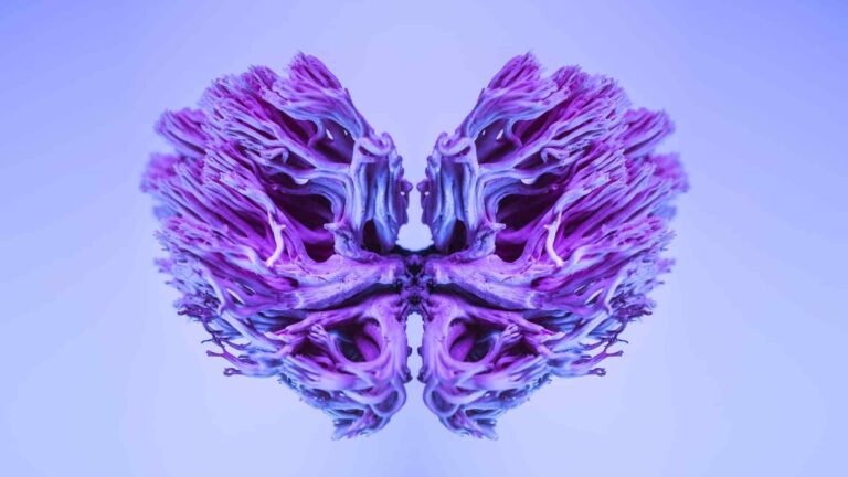 Chip neuromórfico para mapeo cerebral en tiempo real