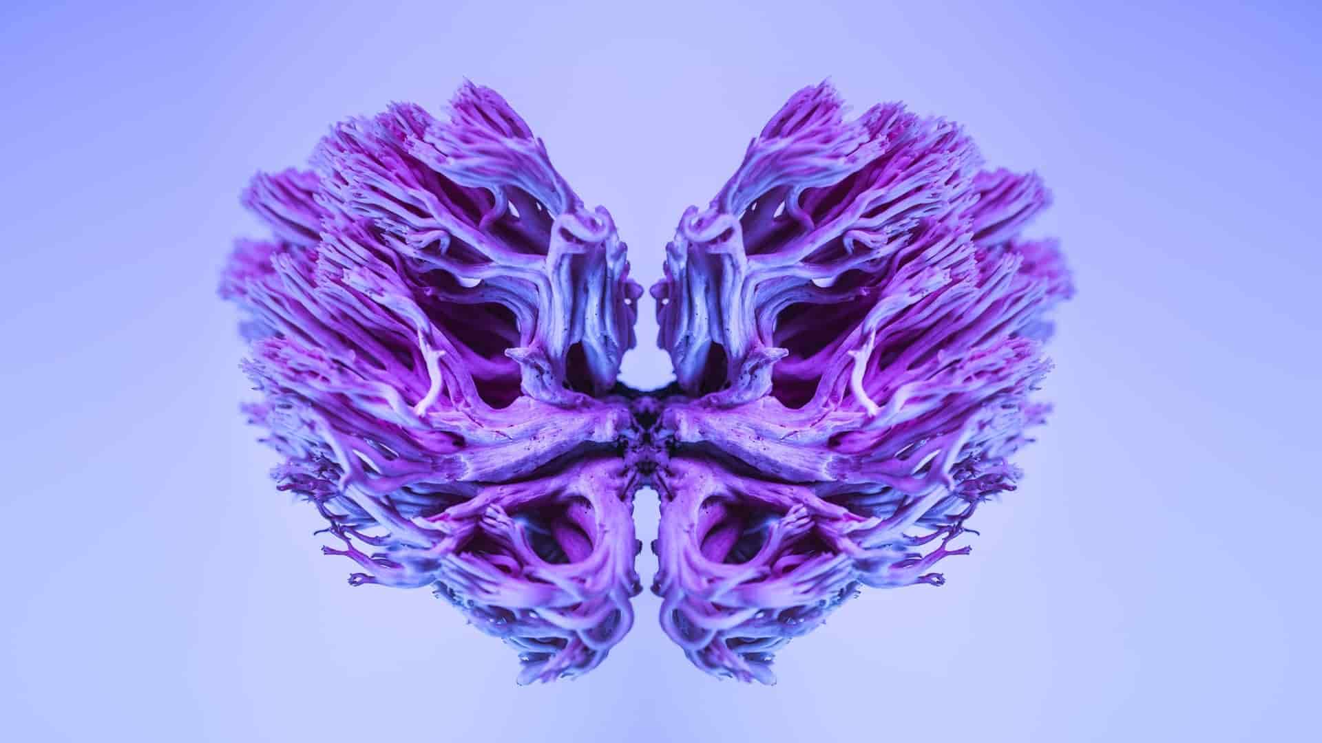 Chip neuromórfico para mapeo cerebral en tiempo real