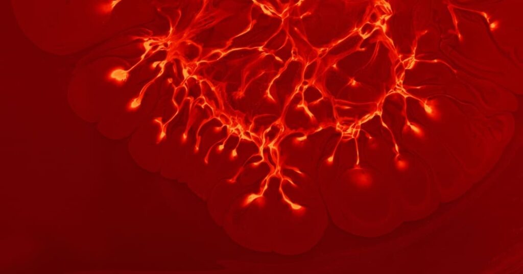El chip que mapea el cerebro en menos de medio segundo 1 Chip neuromórfico para mapeo cerebral en tiempo real