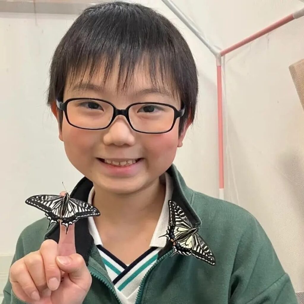 El niño que escudriña el secreto de la memoria de las mariposas 1 mariposas recuerdan experiencias de su vida como orugas