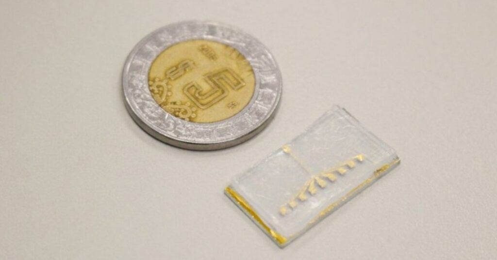 Microchip mexicano revoluciona la detección del cáncer 3 microchip para detectar células tumorales circulantes