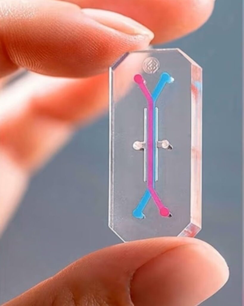 Microchip mexicano revoluciona la detección del cáncer 2 microchip para detectar células tumorales circulantes