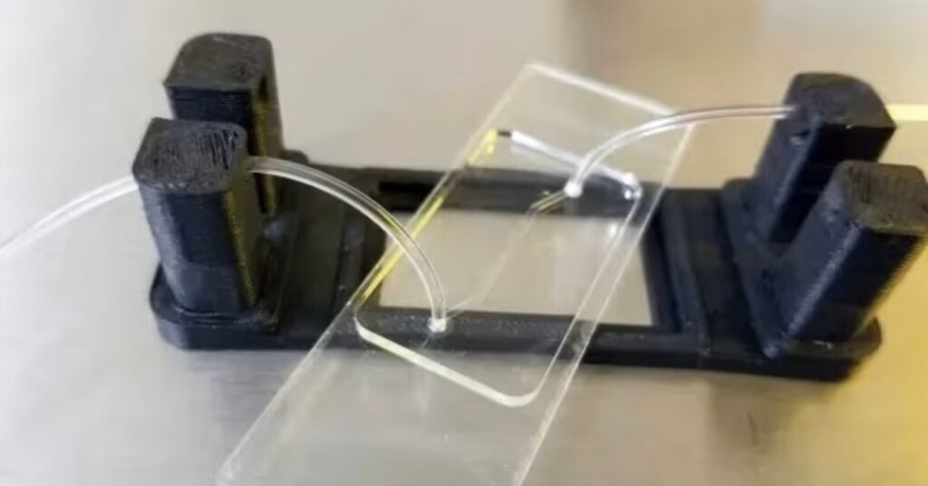 Microchip mexicano revoluciona la detección del cáncer 1 microchip para detectar células tumorales circulantes