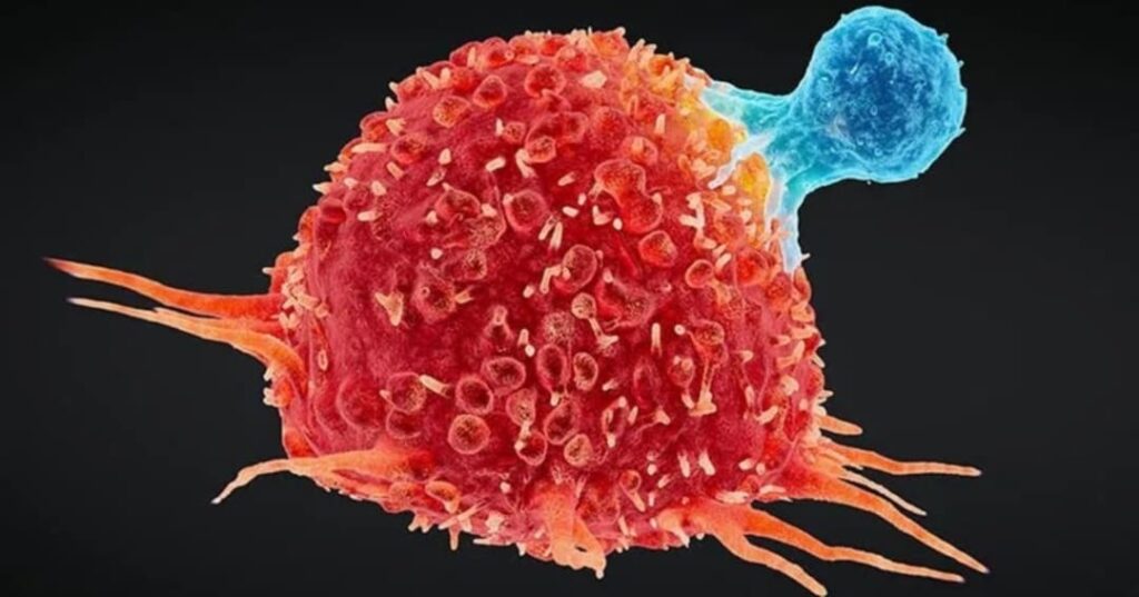 Microchip mexicano revoluciona la detección del cáncer 4 microchip para detectar células tumorales circulantes