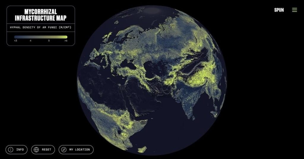 primer mapa global de las redes subterráneas de los hongos
