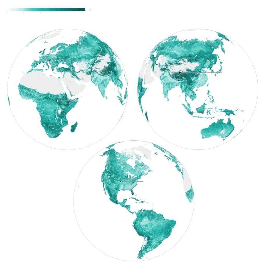primer mapa global de las redes subterráneas de los hongos