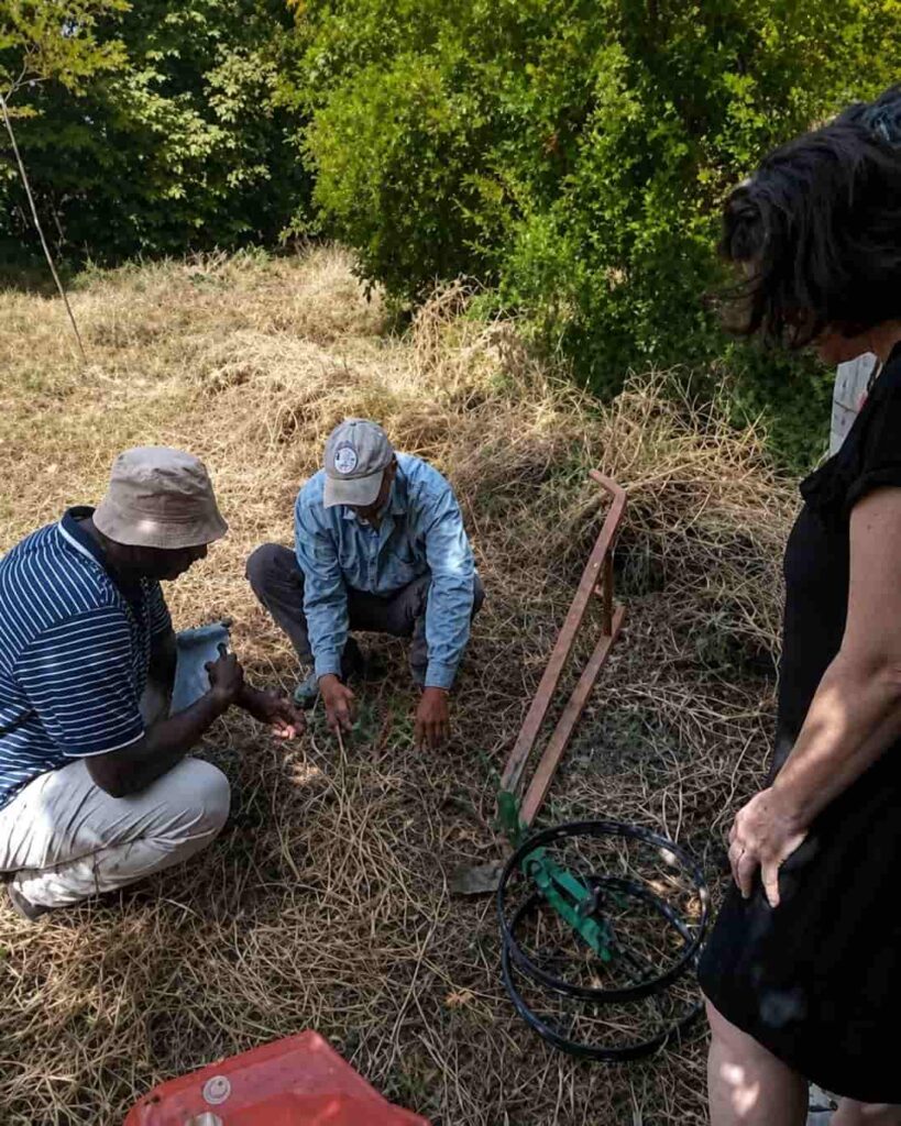 Las semillas olvidadas del Pirineo que están cambiando el futuro rural 6 proyecto Pueblos con Semilla recupera variedades agrícolas
