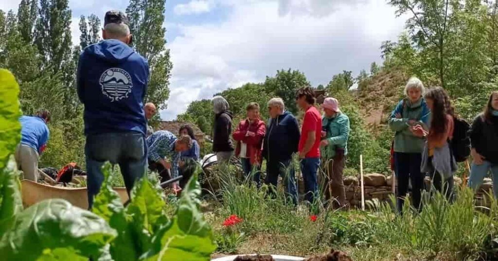 Las semillas olvidadas del Pirineo que están cambiando el futuro rural 1 proyecto Pueblos con Semilla recupera variedades agrícolas