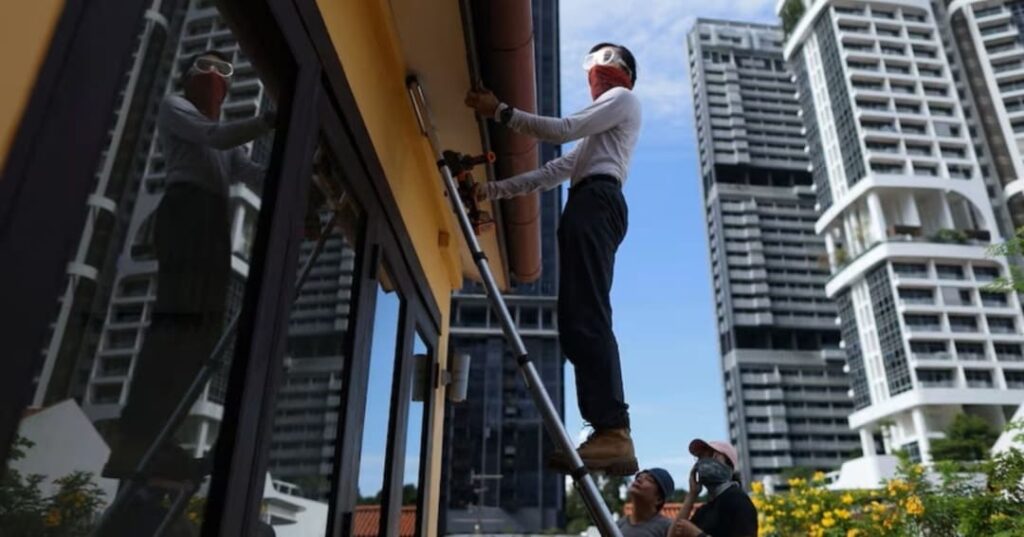 rescatador de abejas urbanas en Singapur