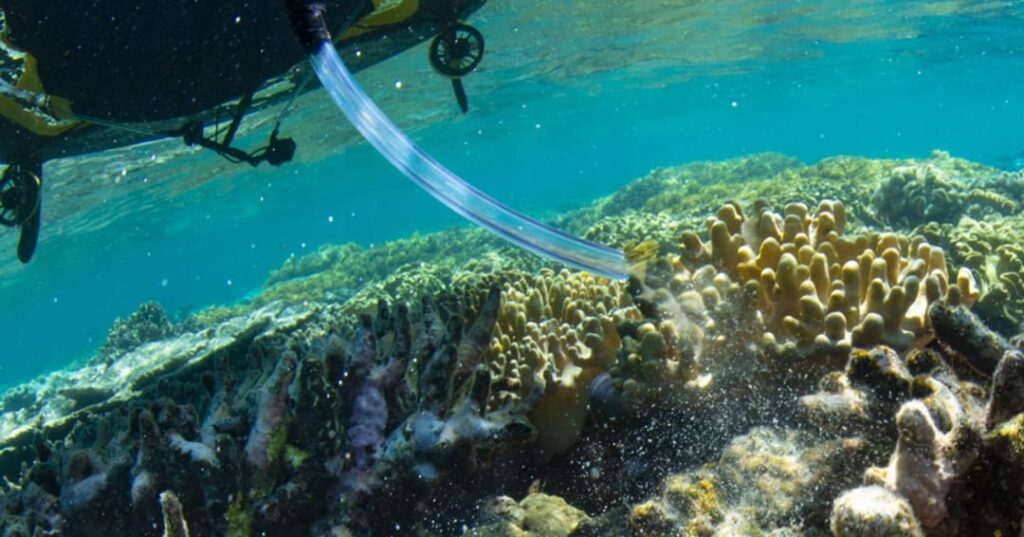 Robots y viveros flotantes salvan la Gran Barrera de Coral 5 robots y viveros flotantes restauran corales bebé