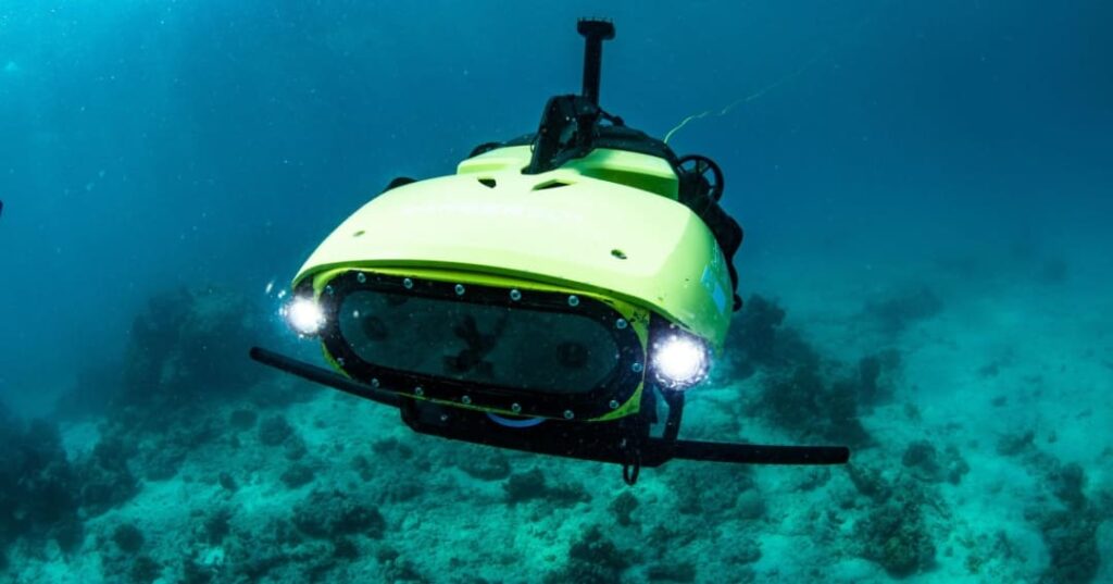 Robots y viveros flotantes salvan la Gran Barrera de Coral 1 robots y viveros flotantes restauran corales bebé