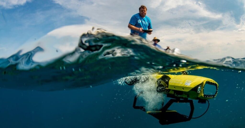 Robots y viveros flotantes salvan la Gran Barrera de Coral 2 robots y viveros flotantes restauran corales bebé