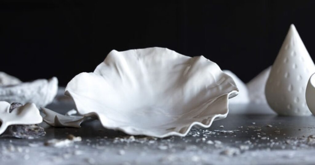 startup francesa que reutiliza conchas de ostras
