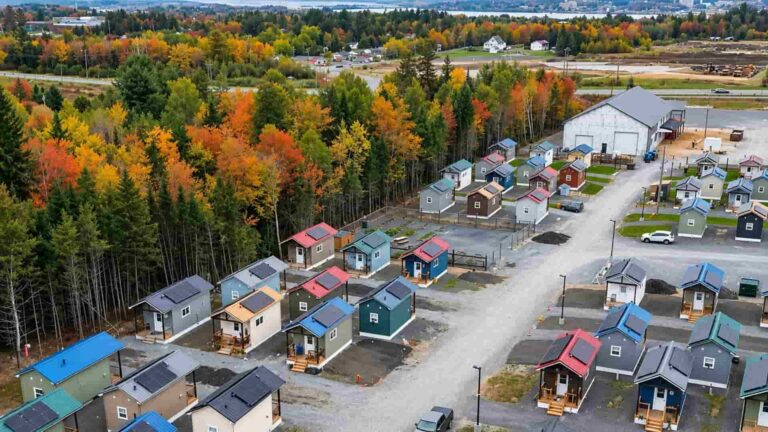 12 Neighbours