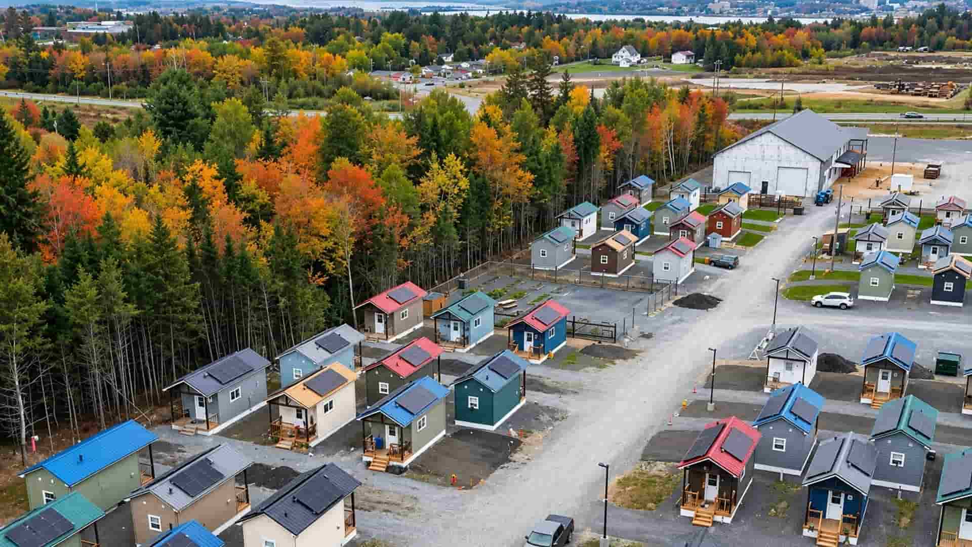 12 Neighbours