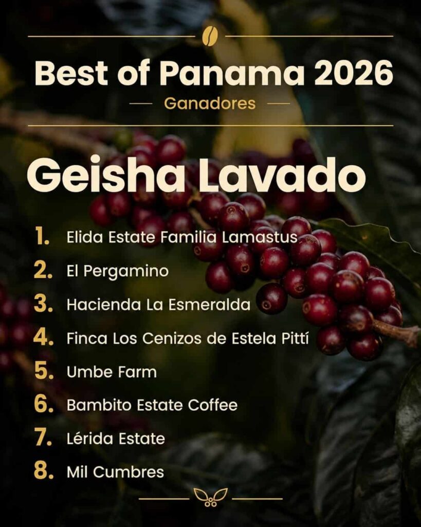 Best of Panamá 2026