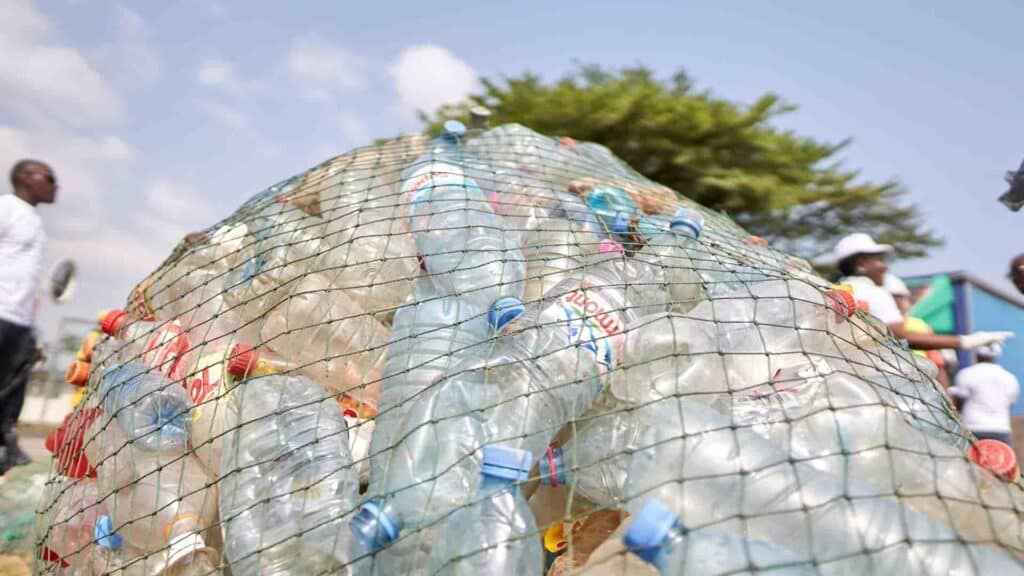 El truco con botellas que está salvando delfines