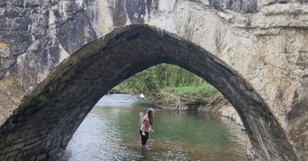 ajolote mexicano en peligro crítico