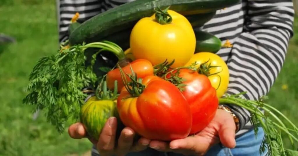 beneficios de la jardinería para la salud mental