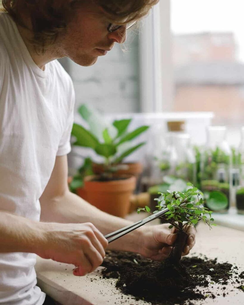 beneficios de la jardinería para la salud mental