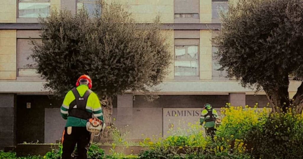 beneficios de la jardinería para la salud mental