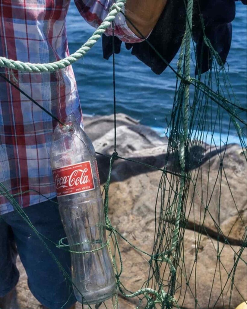 captura accidental de delfines