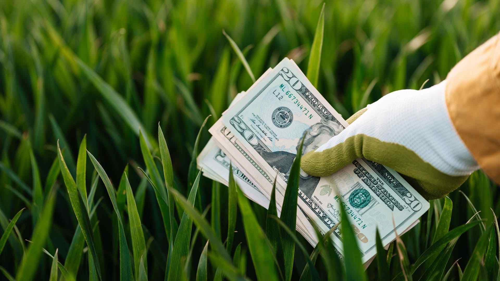 economía verde supera los 10 billones de dólares