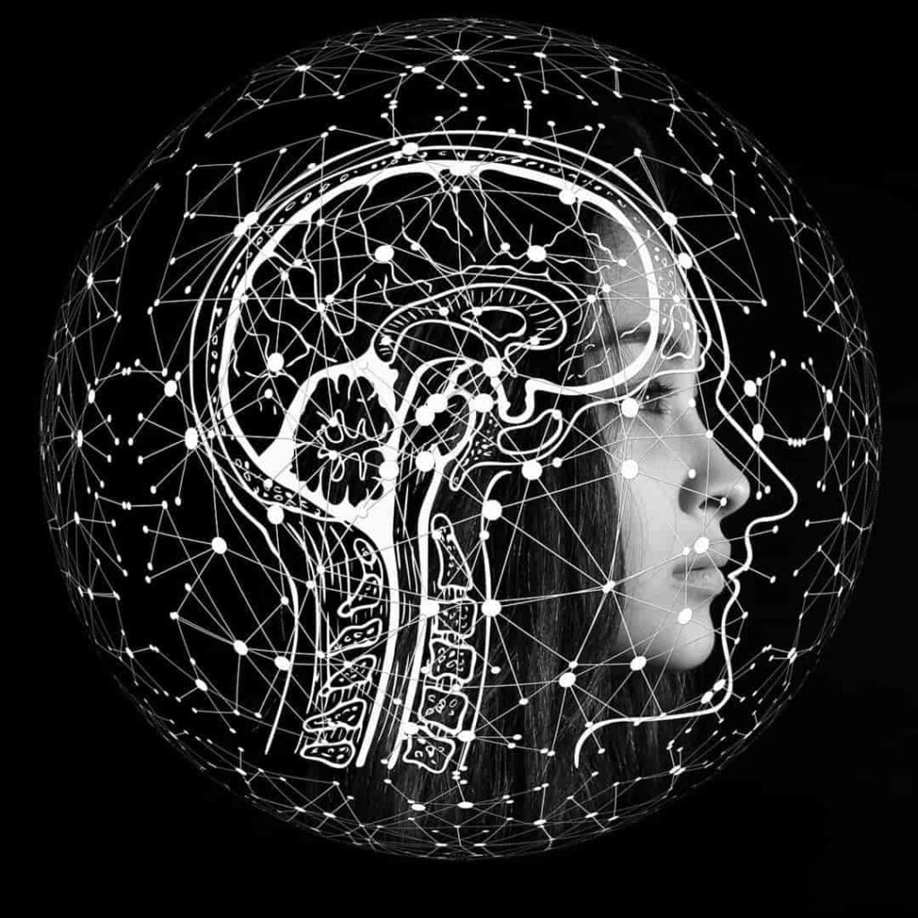 Tu cerebro lee con presupuesto: la IA que lo descubrió 2 inteligencia artificial descifra mejor estrategia de lectura