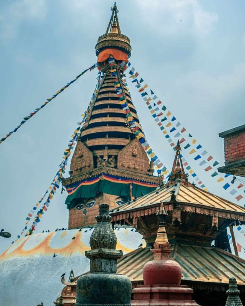 Nepal y sus tigres: éxito de conservación con sombras reales 2 población de tigres en Nepal
