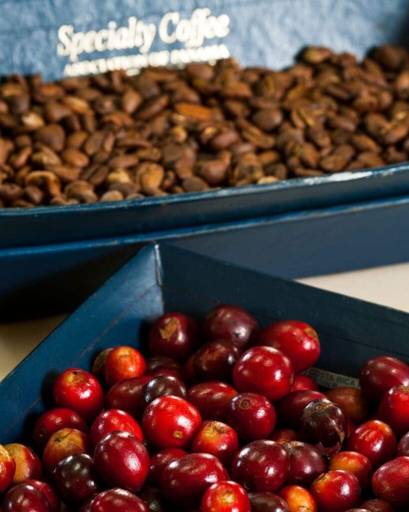 World of Coffee Panama 2026