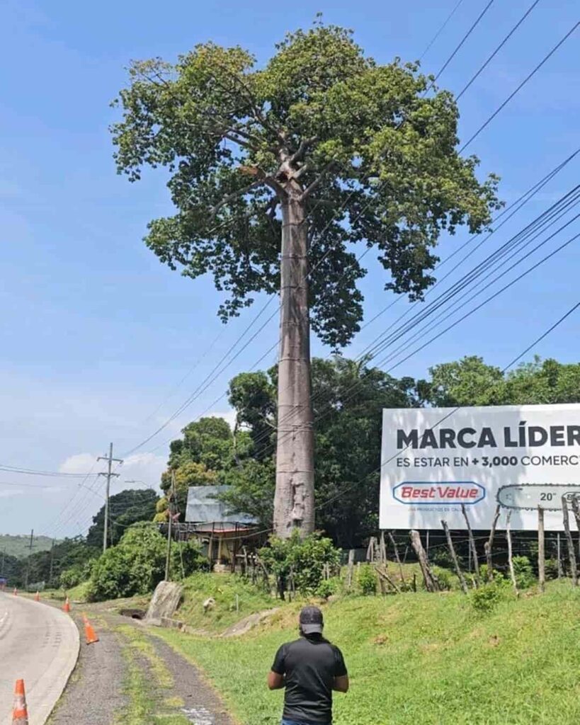 campaña ciudadana para salvar el Cuipo del kilómetro 67