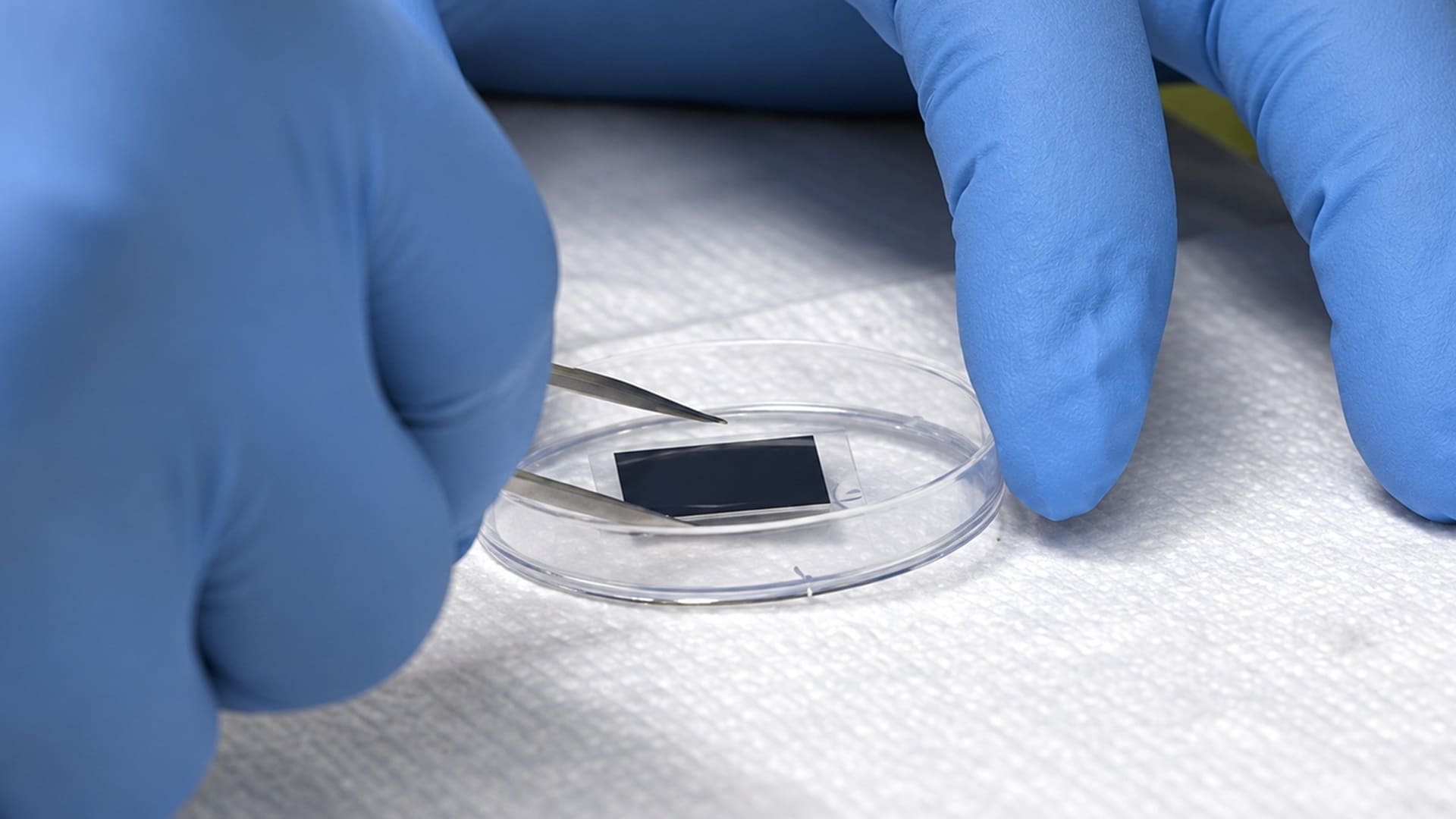 chip de nanotransferencia de tejidos