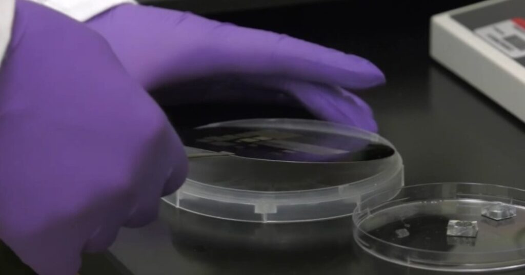 Conoce el verdadero chip prodigioso: un doctor en miniatura 4 chip de nanotransferencia de tejidos