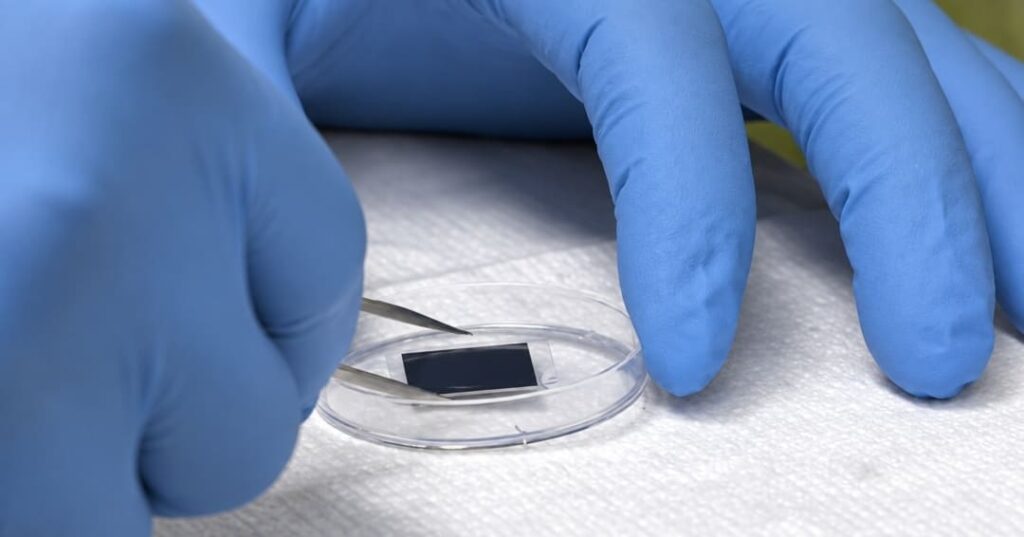 Conoce el verdadero chip prodigioso: un doctor en miniatura 1 chip de nanotransferencia de tejidos
