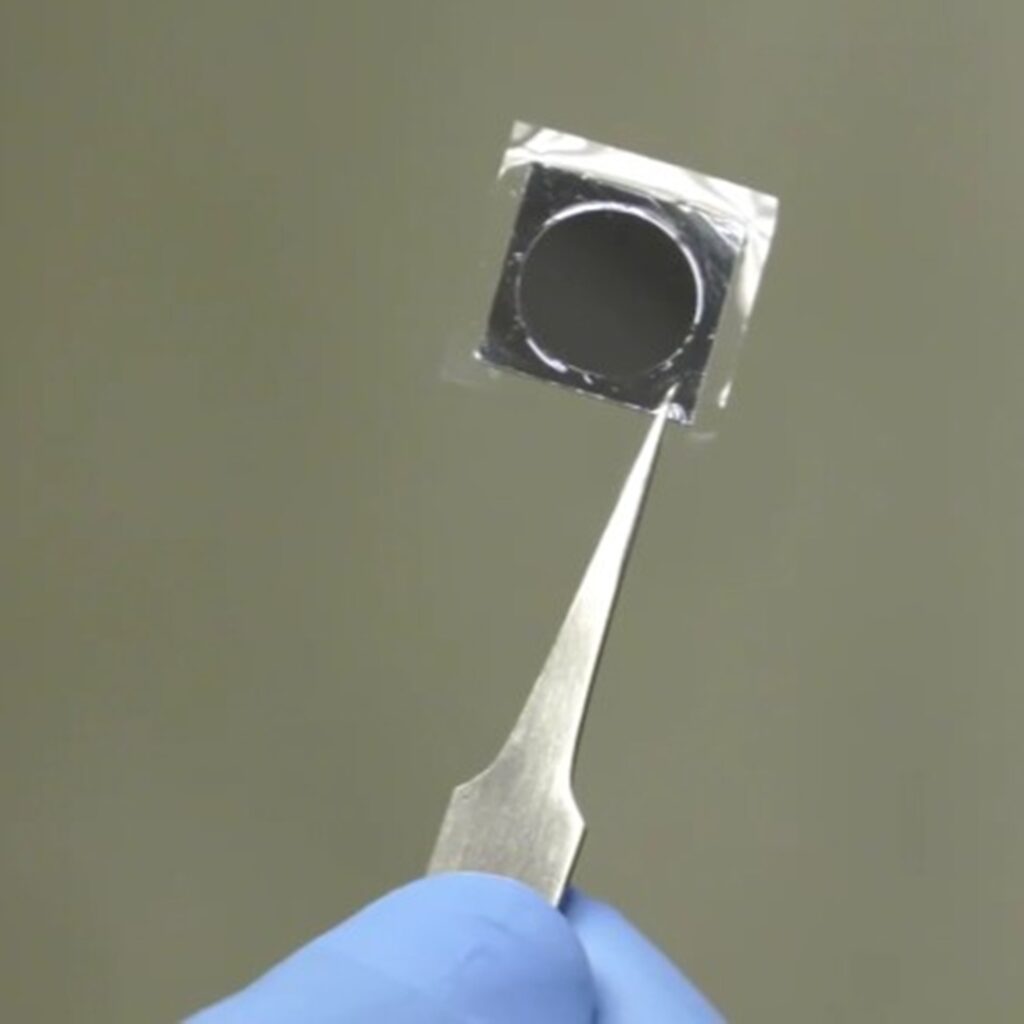 Conoce el verdadero chip prodigioso: un doctor en miniatura 2 chip de nanotransferencia de tejidos