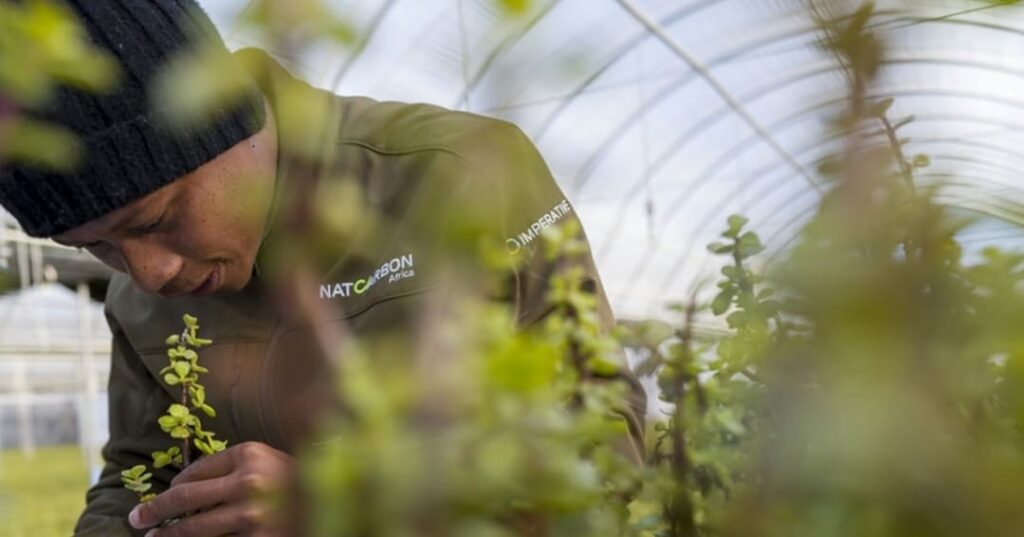 El sudafricano que comenzó plantando arbustos y terminó restaurando un ecosistema entero 1 granjero sudáfricano Graham Slater