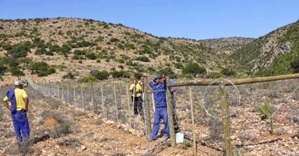 El sudafricano que comenzó plantando arbustos y terminó restaurando un ecosistema entero 4 granjero sudáfricano Graham Slater