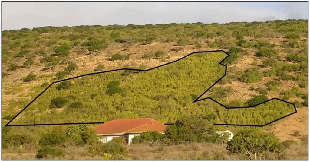 El sudafricano que comenzó plantando arbustos y terminó restaurando un ecosistema entero 7 granjero sudáfricano Graham Slater