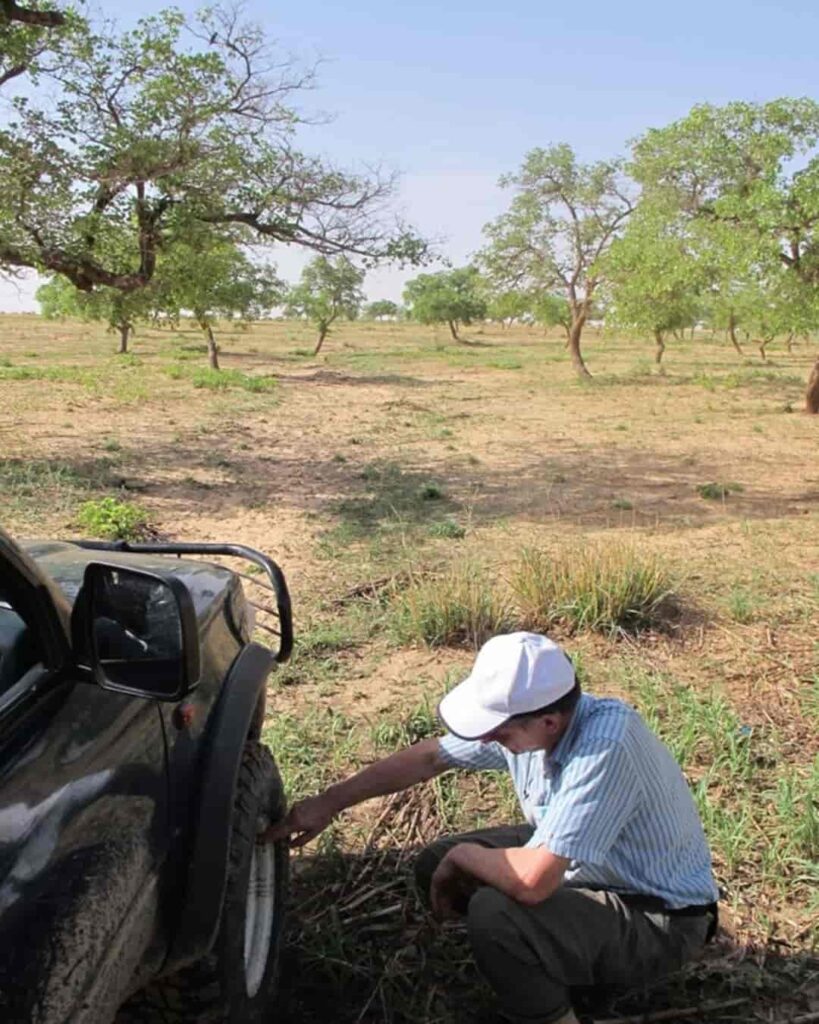 El bosque secreto bajo el desierto de Sahel 6 regeneración natural de bosques en el Sahel